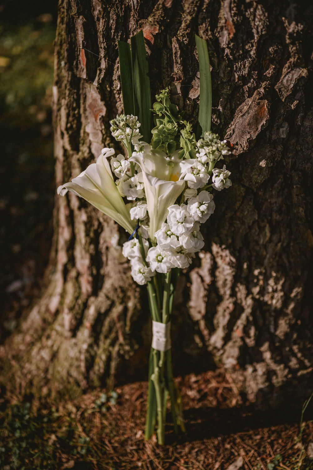 foto de boda en Santa Lucia eventos por Matias Savransky fotografo de Buenos Aires